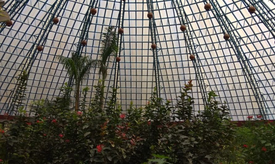 Bangalore’s Butterfly Park review on Mums and Stories